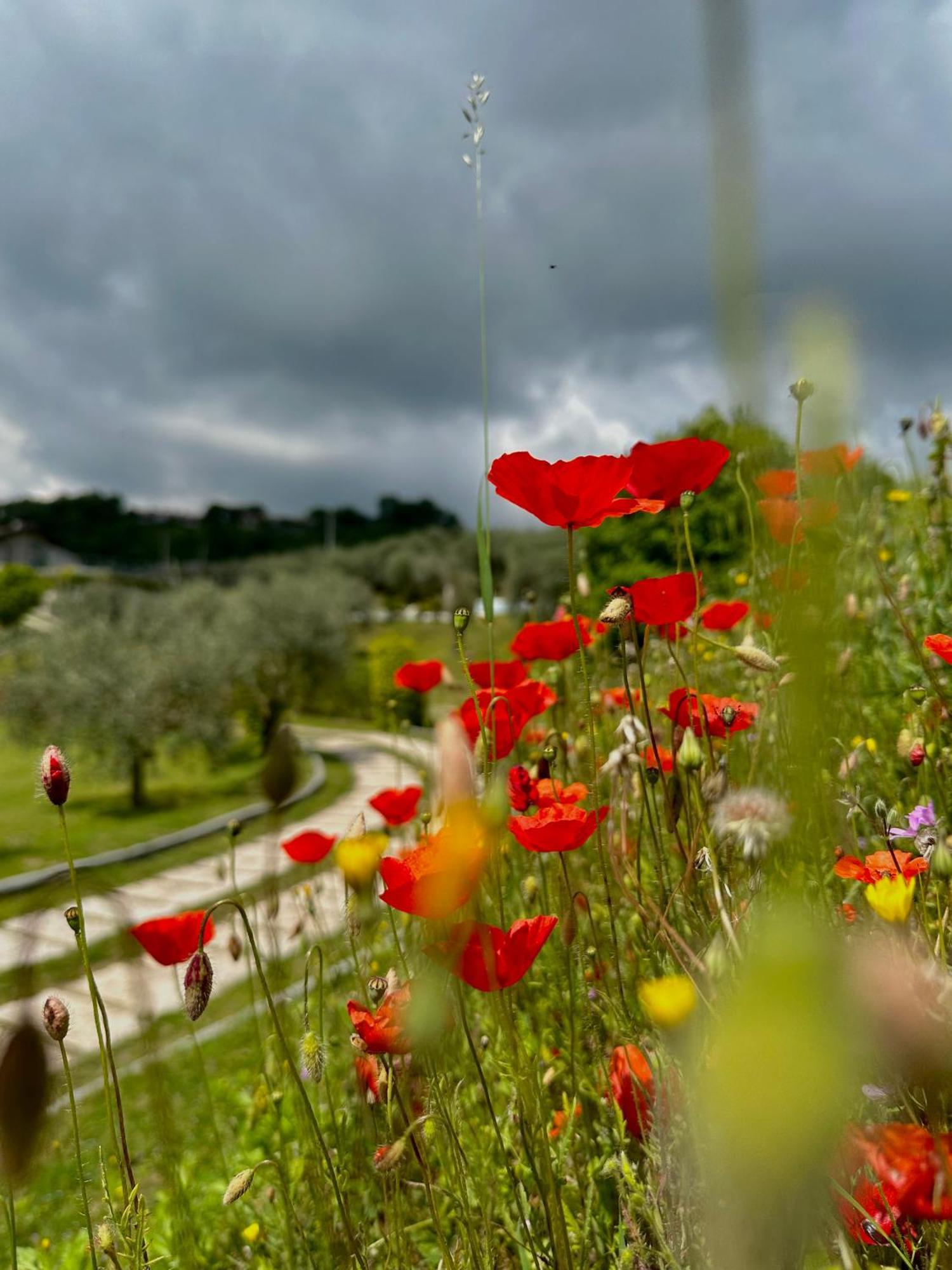 Holiday Home Sovenigo Puegnago Bagian luar foto