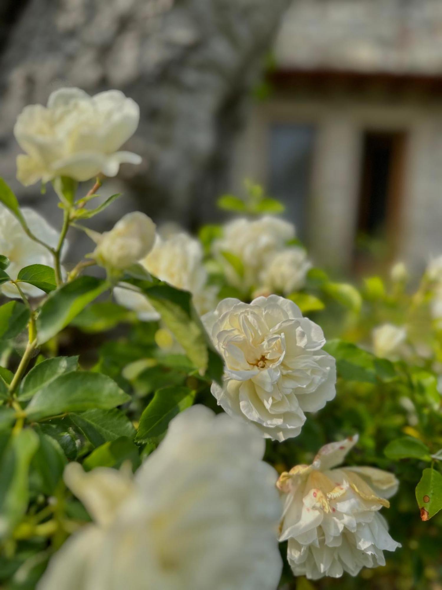 Holiday Home Sovenigo Puegnago Bagian luar foto